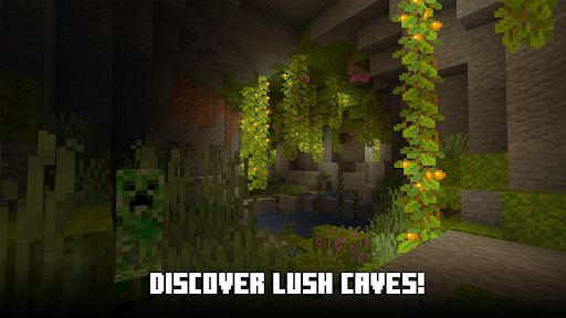 Minecraft_9