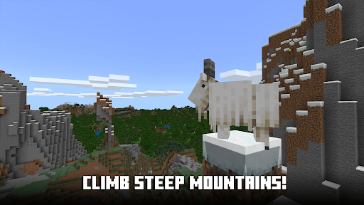 Minecraft_10