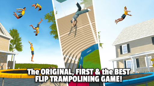 Flip Master_1
