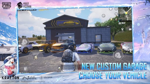 PUBG MOBILE_15