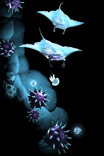 Seashine_6